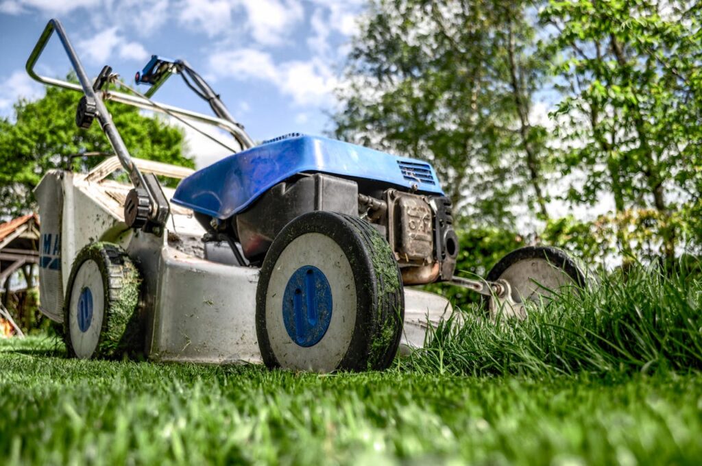 garden-grass-meadow-green Close-up view of a lawn mower cutting grass in a garden on a sunny day.