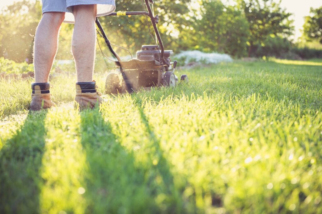 pexels-photo-6728926 Gardener mowing lawn with a push mower on a sunny afternoon, wearing boots and shorts.